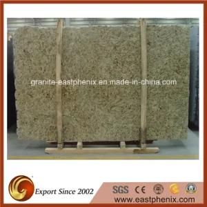 Imported Golden Granite Slab for Tombstone/Step Stairs