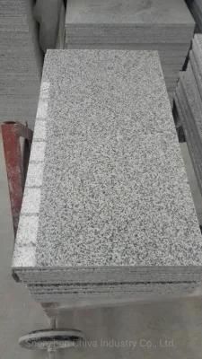 Salt/and/Pepper Light Grey G603 Flooring Wall Tiles Granite Paving Stone