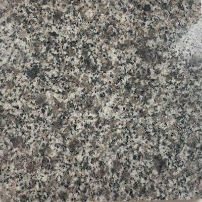 New Cheap Chinese Grey Granite for Polished and Flamed Tile