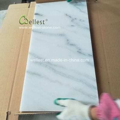 Interior Floor Tile Design White Marble with Grey Veins