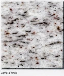 Camelia White Color Polished Granite