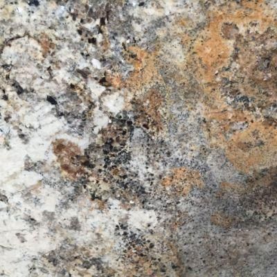 Shangri-La Marble Slabs for Flooring Tile, Countertop