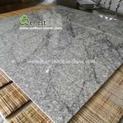 Crazy Veins Fantasy Grey Granite Tile Outdoor Paving and Flooring for Pool