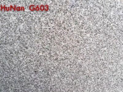 China Top White Granite/Hunan G603 Granite/Hunan G603 Granite for Floor/Background