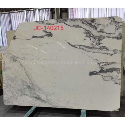 Natural Polished Arabescato White Marble Slab for Countertop/Bathroom/Kitchen