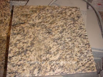 G628 Tiger Skin Yellow Granite Piel De Tigre Amarillo Granito