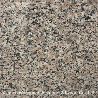 Natural Stone Slab Kitchen Countertop Granite Top/Worktop/Table