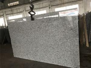 China Bala White/Chiva White Granite for Tile/Countertop/Vanity Top/Worktop