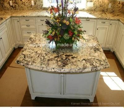 Granite Stone Natural Stone Slabs/Vanity Top/Countertop/Countertops for Kitchen/Bathroom/Flooring/Tiles Project design