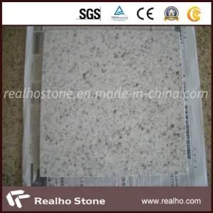 Polished Bethel White Granite Stone Tile with Grey Stains for Kitchen/Bathroom