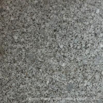 Grey and Natural Surfaces Granite with Rich Texture Use for Bathroom and Flower Pot and Construction Sites