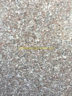 Natural Cheap New G687 Red Granite Tile Slab Staris Countertops