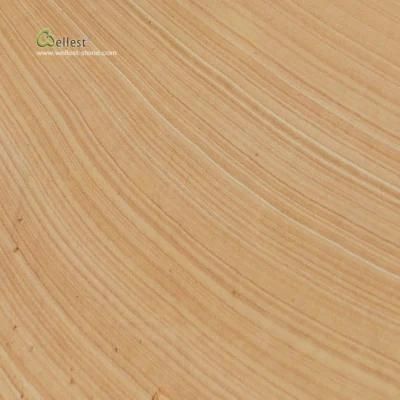 Sy151 Sandstone Beige Australian Style with Honed Finish