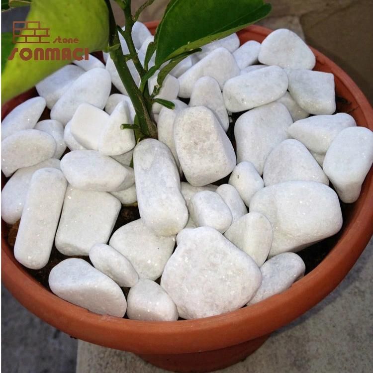 Decorative White Color Natural Polished Gravel Pebble Stone