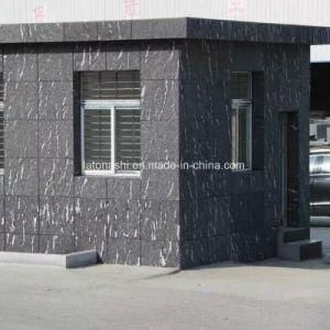 Via Lactea Granite Mist Black Tiles for Wall