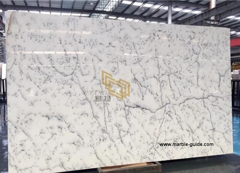 Natural Stone Centalla White Marble for Tile/Slabs/Flooring/Column/Table Countertops Building Material