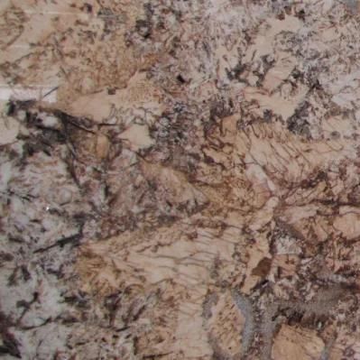 China Natural Stone Polished/Honed/Flamed/Brushed Granite for Inside/Outdoor Floor/Wall Slabs/Tiles/Stairs/Countertop Golden Persa