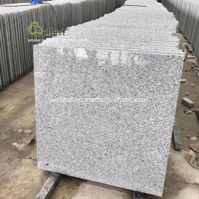G603 White Pearl Grey Granite Tiles/Slabs/Pavers/Kerbstone/Quoins/Cills Building Stone