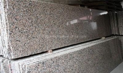 G563 Sanbao Red Granite Slabs Wall Tile/Floor Tile Kitchen Countertop