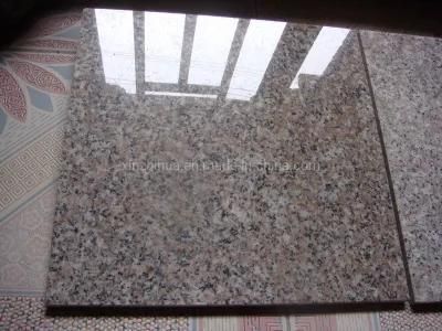 Natural Stone G636 Grey Granite Big/Half/Small Slabs/Tile for Floor Wall