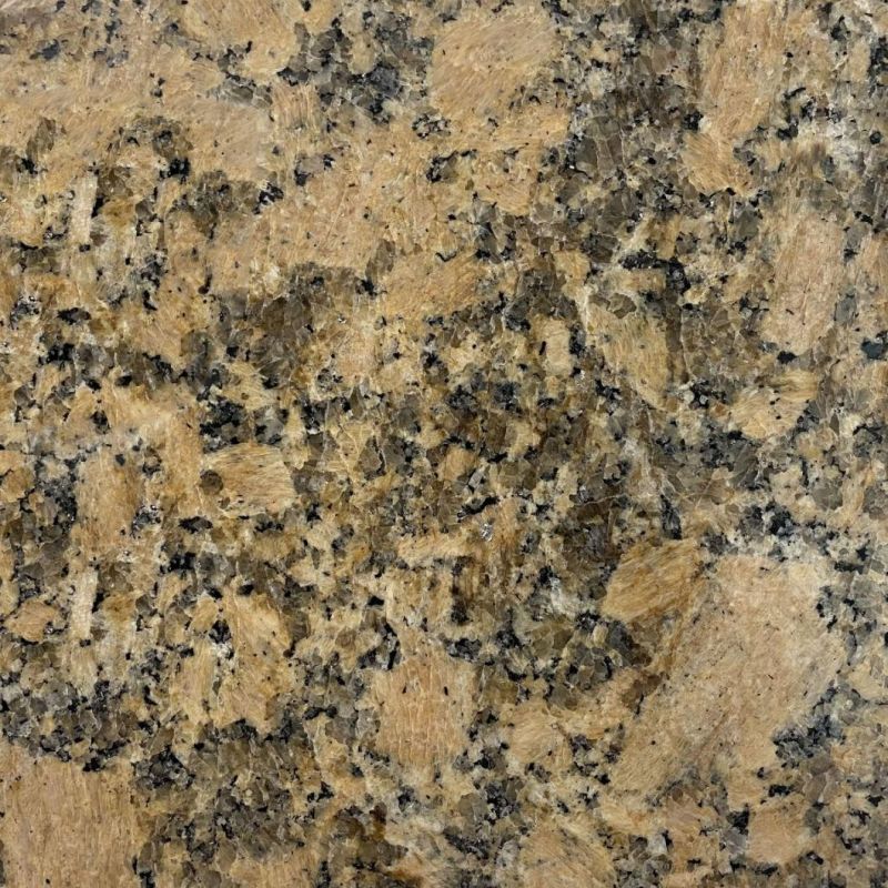 Gold Diamond Granite Polished Polished Gold / Decorative Granite Countertops / Tile / Anti-Splash
