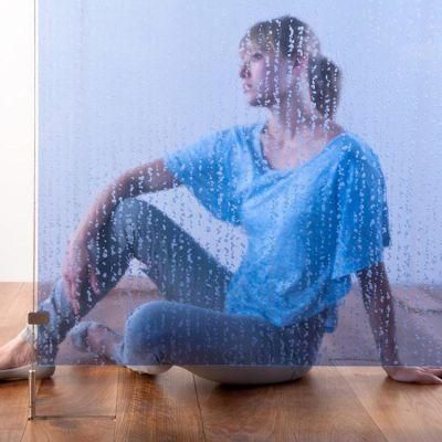 Custom Made PMMA Transparent Acrylic Sheet for Window
