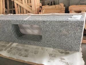 Affordable Swan Grey Granite for Kitchen Countertop for Multi Family Project