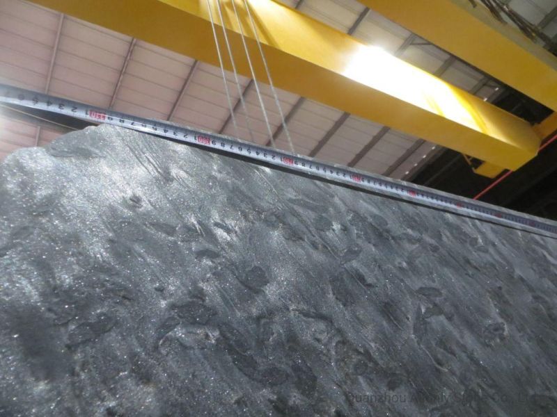 Wholesale Natural Versace Black Marble Luxury Stone for Hotel Design