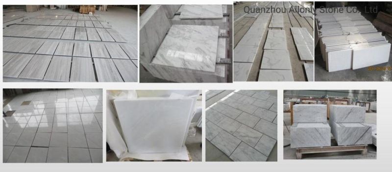 Polished Arabescato White Marbe Tile for Interior Wall Flooring Design