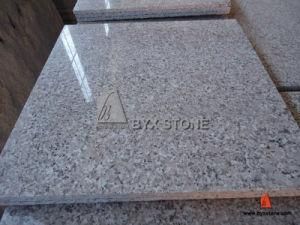 New G635 China Rosa Porrino Pink Granite Kitchen Flooring Tile