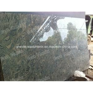 High Quality Japarana Granite Slab