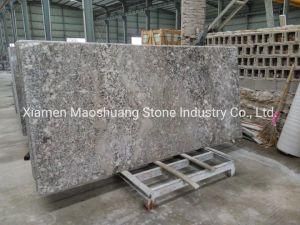 Bianco Antico Granite for Countertop/ Vanity Tops