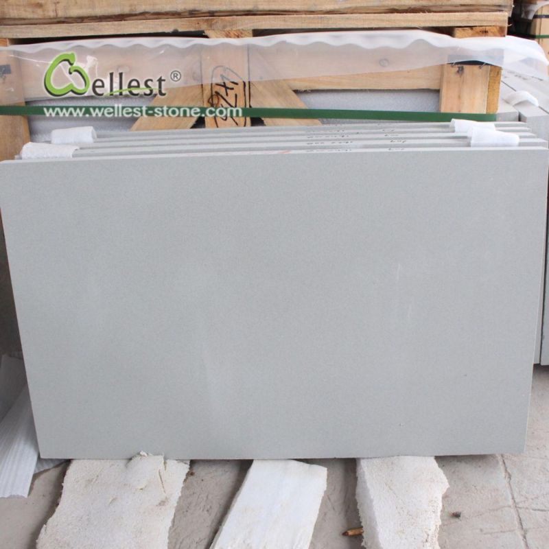 Natural Red/Green/Grey/Yellow/White/ Sandstone for Paving / Tiles