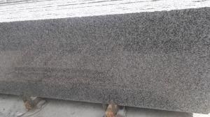 G623 Grey Granite with Flamed for Kerbstone/Slab/Flooring Tiles