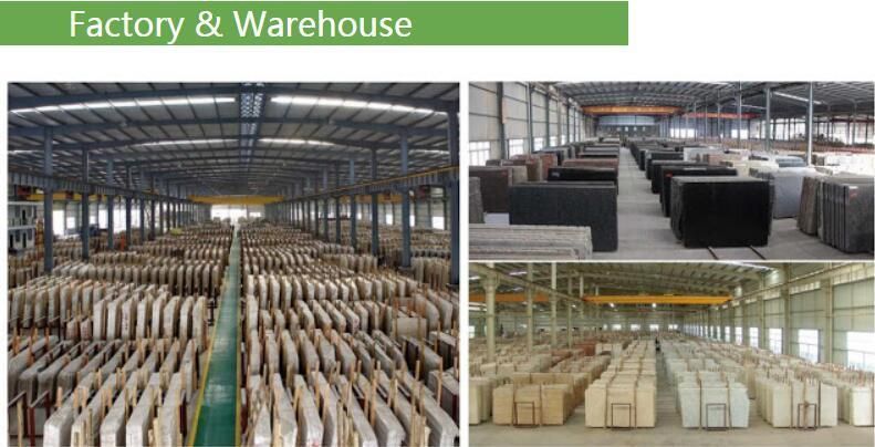 Marble Slabs Natural Beige Marble Slabs Interior Decoration for Wall Tile Floor Tile