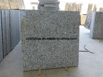 Bianco Sardo/G439/Big White Flower/Polished/Flamed Granite Slab for Floor Tile/Counter Top/Work Top/Vanity Top