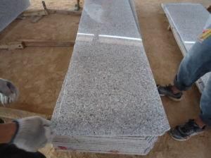 G635 Small Slab Granite Countertops/Vanity Top
