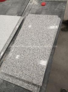 G603 Popular Construction Stone Polished Flamed Granite