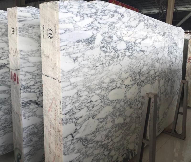 Arabescato Corchia Marble Arabescato White Marble Slabs