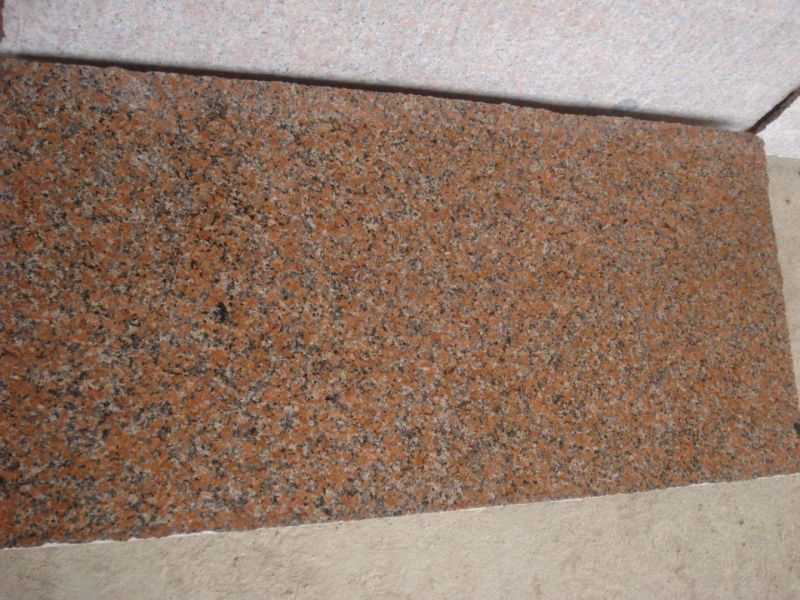 China G562 Maple Red Indoor Wall Tile Granite Nature Stone