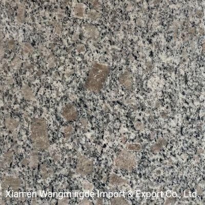 Natural Building Material Polished Granite Top/Worktop/Vanity/Table