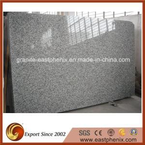Natural Chinese Light Grey G439 Granite Big Slab