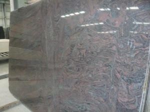 Imported Granite Paradiso for Tiles/Countertops/Kitchentops/Hotel/Building Materials