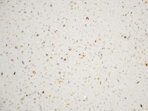 Quartz Slab for Kitchen Countertop and Floor Tiles