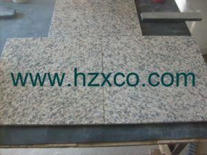 Tiger Skin Red Granite Tile/Slab