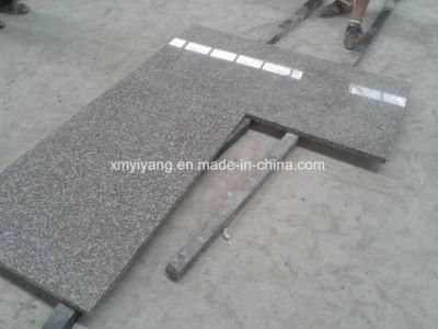 Granite Kitchen Cabinets Bathroom Vanity/Countertop Wall Tile/Slab Factory