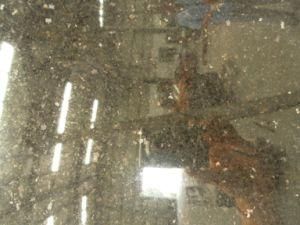 Imported Granite Silver Galaxy for Tiles/Countertops/Kitchentops/Hotel/Building Materials