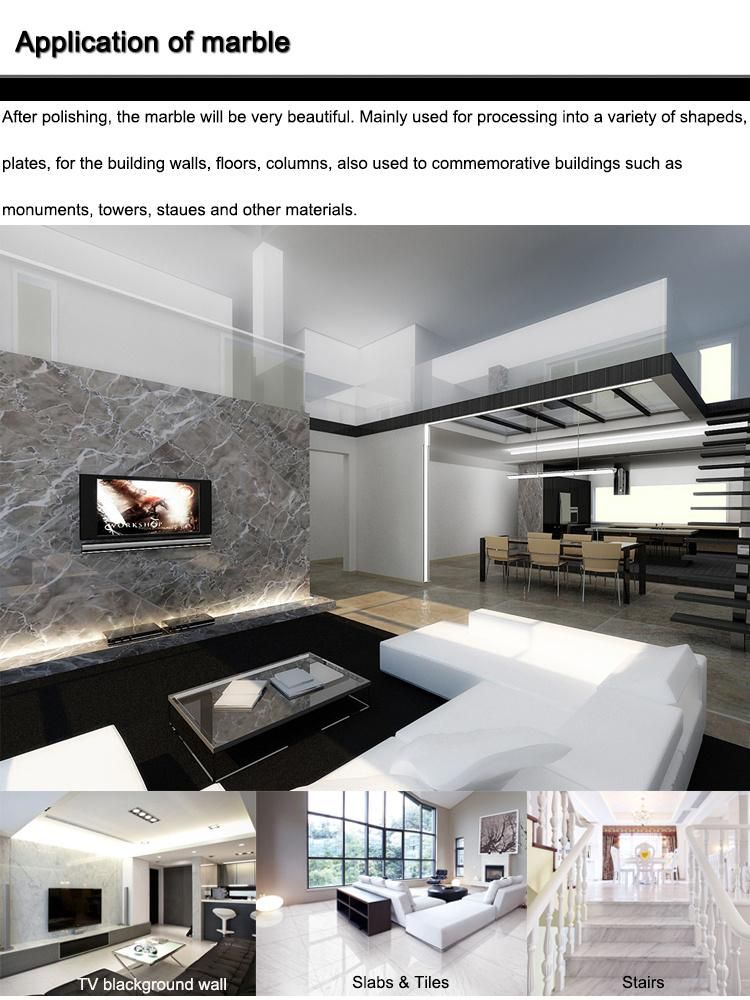 France Home Application Nature Marble High Desert Tile and Stone