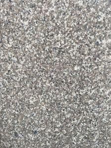 Cheap Granite /Stone/New G664 /
