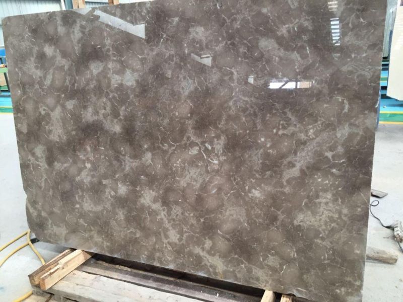 China Top Grey Granite/Persian Grey Granite/Grey Granite for Floor/Background